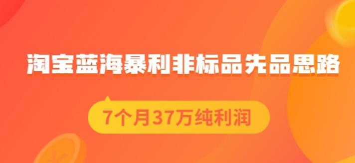 盗坤淘宝蓝海暴利非标品先品思路，7个月37万纯利润，压箱干货分享！【付费文章】-优优资源网