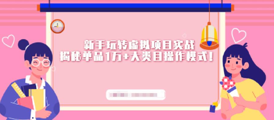 新手玩转虚拟项目实战，揭秘单品1万 大类目操作模式【视频课程】-优优资源网