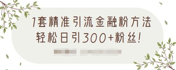 1套精准引流金融粉方法，轻松日引300 粉丝【视频课程】-优优资源网