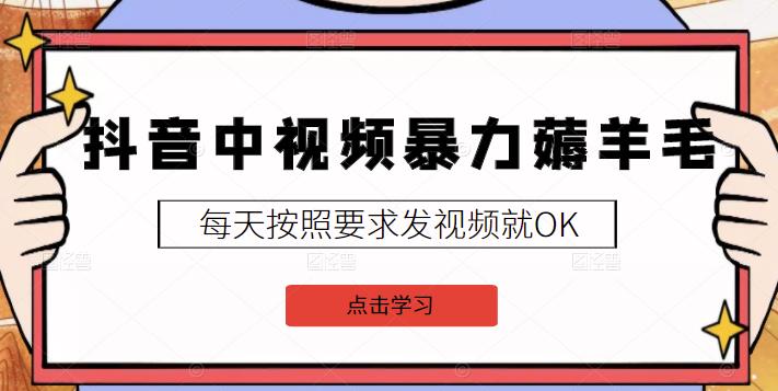 2022抖音中视频暴力薅羊毛白嫖项目：新号每天20块，老号几天几百块，可多号-优优资源网