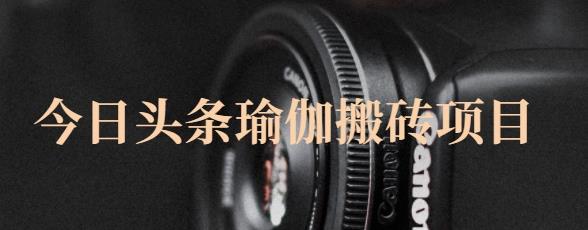 猎人社区·今日头条瑜伽搬砖项目，单号一天几十收入，可以批量操作！-优优资源网
