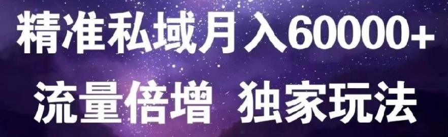 原力网赚精准私域月入60000 ,流量倍增独家玩法-优优资源网