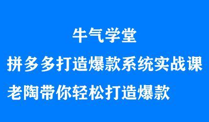 牛气学堂拼多多打造爆款系统实战课，老陶带你轻松打造爆款-优优资源网