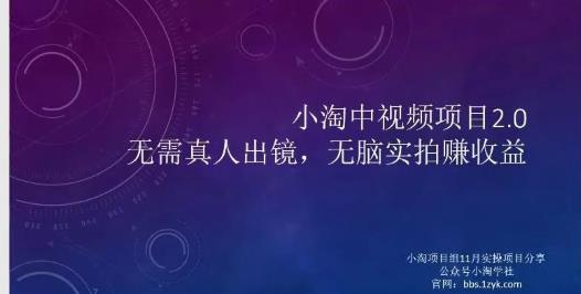 小淘项目组网赚永久会员，绝对是具有实操价值的，适合有项目做需要流程【持续更新】-优优资源网