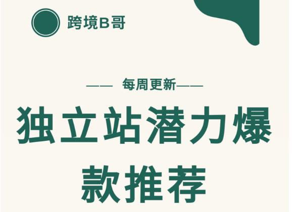 【跨境B哥】独立站潜力爆款选品推荐，测款出单率高达百分之80（每周更新）-优优资源网