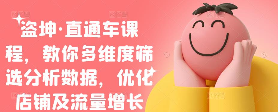 盗坤·直通车课程，教你多维度筛选分析数据，优化店铺及流量增长-优优资源网
