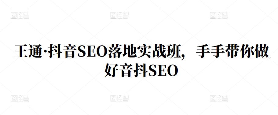 王通·抖音SEO落地实战班，手‬手带你做好音抖‬‬SEO-优优资源网