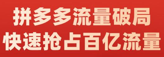 阿杰·拼多多流量破局:如何打黑标，爆款的思路，拼多多流量框架，快速抢占百亿流量-优优资源网