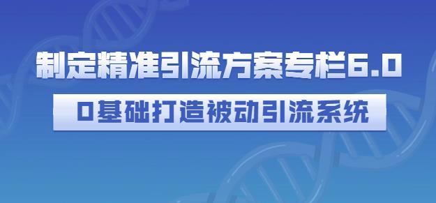 制定精准引流方案专栏6.0，0基础打造被动引流系统-优优资源网