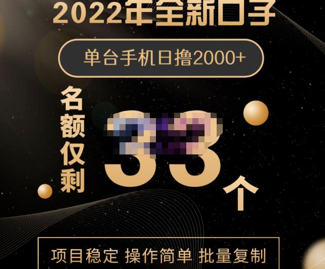 2022年全新口子，手机批量搬砖玩法，一部手机日撸2000-优优资源网