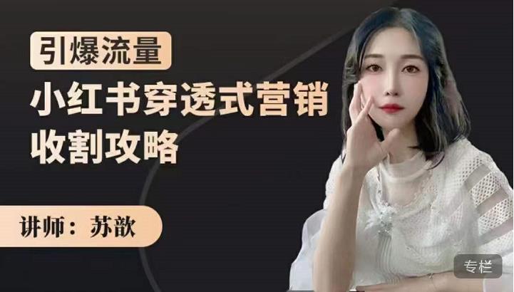 小红书穿透式营销收割攻略，引爆流量，助你玩转小红书-优优资源网
