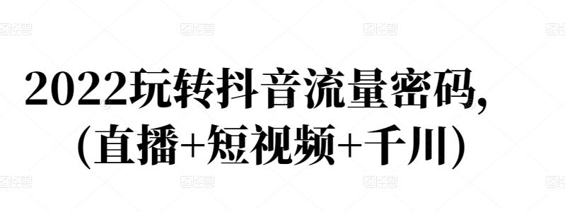2022玩转抖音流量密码，(直播 短视频 千川)-优优资源网