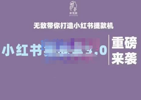 谢无敌·小红书实战营3.0，无敌带你打造小红书提款机 价值7999元-优优资源网