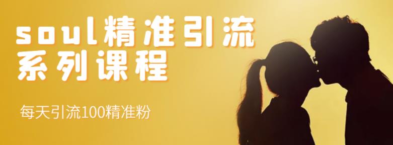 soul精准引流系列课程，每天引流100精准粉-优优资源网