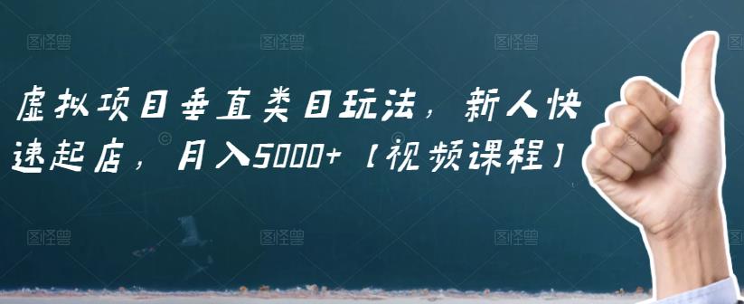 虚拟项目垂直类目玩法，新人快速起店，月入5000 【视频课程】-优优资源网