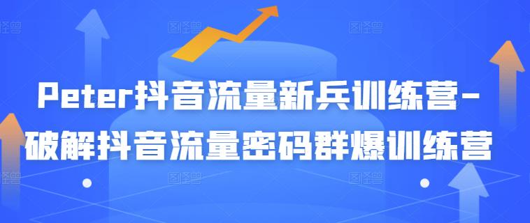 Peter抖音流量新兵训练营-破解抖音流量密码群爆训练营（新兵）-优优资源网