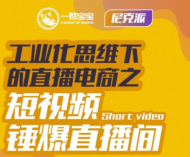 尼克派·工业化思维下的直播电商之短视频锤爆直播间，听话照做执行爆单-优优资源网