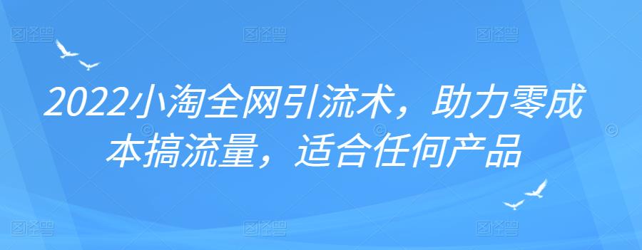 2022年小淘全网引流术，助力零成本搞流量，适合任何产品-优优资源网