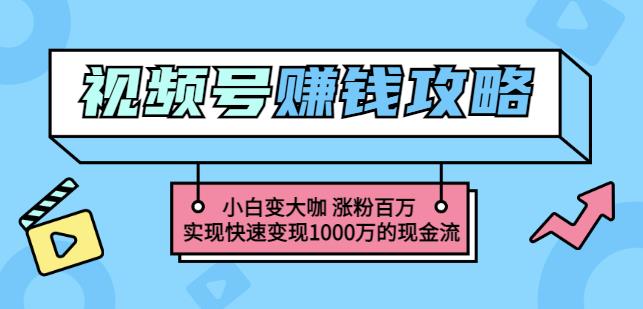 玩转微信视频号赚钱：小白变大咖涨粉百万实现快速变现1000万的现金流-优优资源网