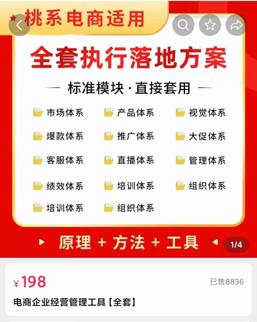 外面卖198·电商企业经营管理工具：全套执行落地方案 标准模块·直接套用-优优资源网