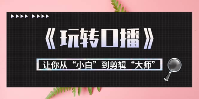 月营业额700万 大佬教您《玩转口播》让你从“小白”到剪辑“大师”-优优资源网