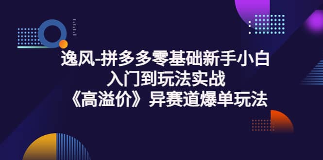 拼多多零基础新手小白入门到玩法实战《高溢价》异赛道爆单玩法实操课-优优资源网