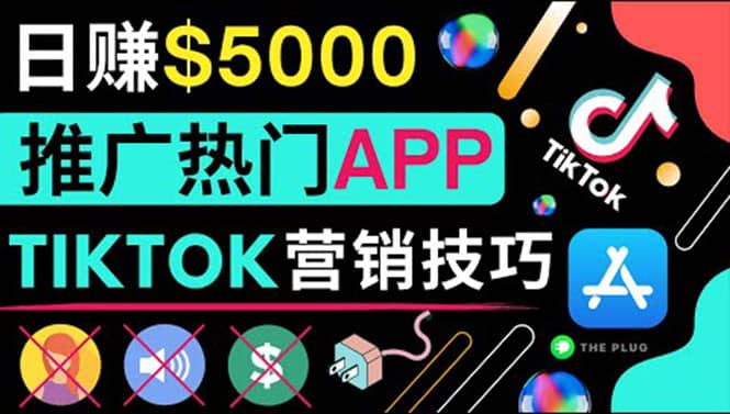无需露脸，无需录音，无需投资，TIKTOK上传短视频，最高日入5000美元-优优资源网