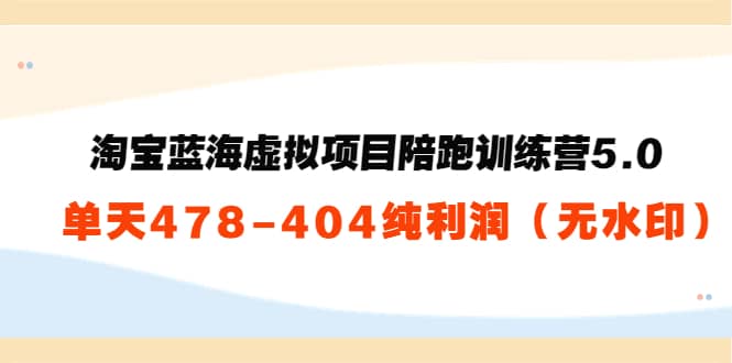 淘宝蓝海虚拟项目陪跑训练营5.0：单天478纯利润（无水印）-优优资源网