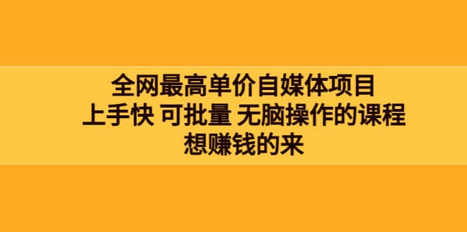 全网最单高价自媒体项目：上手快 可批量 无脑操作的课程，想赚钱的来-优优资源网