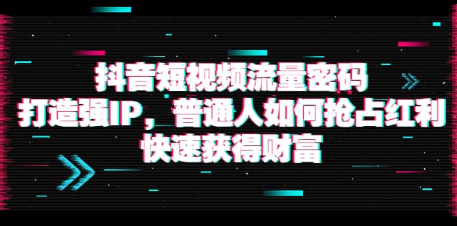 抖音短视频流量密码：打造强IP，普通人如何抢占红利，快速获得财富-优优资源网