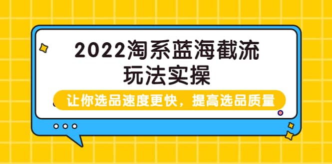 2022淘系蓝海截流玩法实操：让你选品速度更快，提高选品质量（价值599）-优优资源网