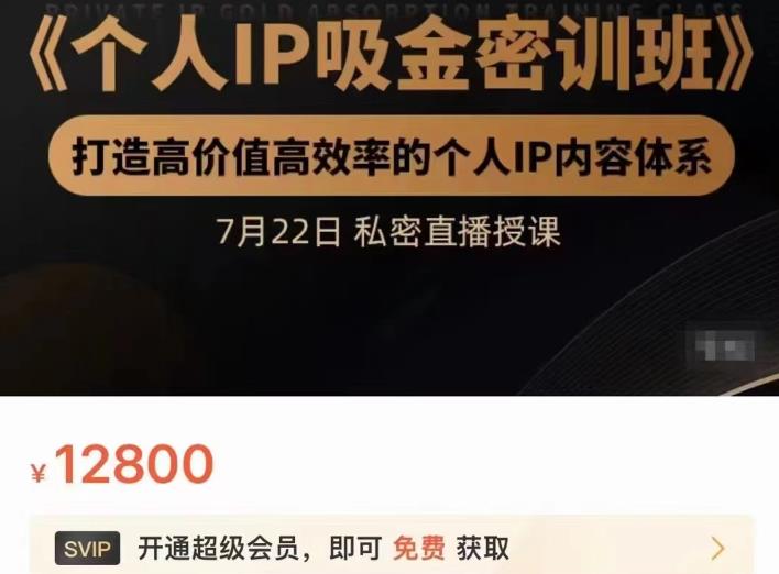 个人IP吸金密训班，打造高价值高效率的个人IP内容体系（价值12800元）-优优资源网
