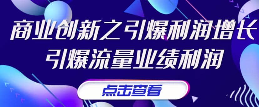 《商业创新之引爆利润增长》引爆流量业绩利润-优优资源网