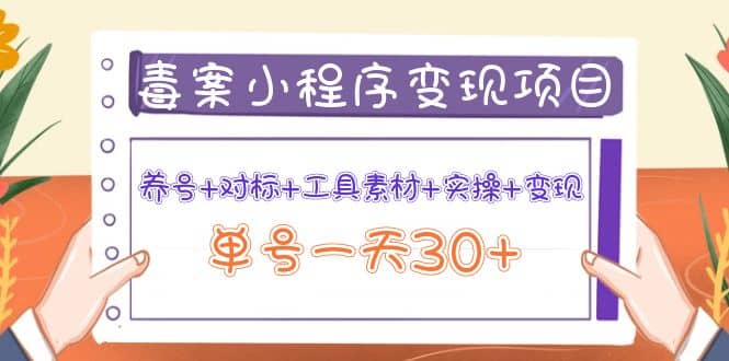 毒案小程序变现项目：养号 对标 工具素材 实操 变现-优优资源网