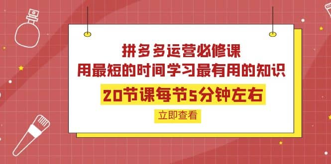 拼多多运营必修课：20节课每节5分钟左右，用最短的时间学习最有用的知识-优优资源网