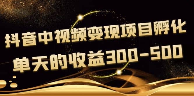 黄岛主《抖音中视频变现项目孵化》单天的收益300-500 操作简单粗暴-优优资源网