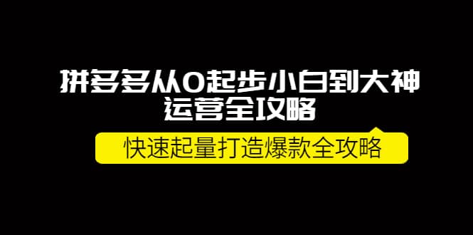 拼多多从0起步小白到大神运营全攻略-优优资源网