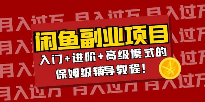 月入过万闲鱼副业项目：入门 进阶 高级模式的保姆级辅导教程-优优资源网
