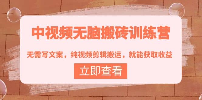 中视频无脑搬砖训练营：无需写文案，纯视频剪辑搬运，就能获取收益-优优资源网
