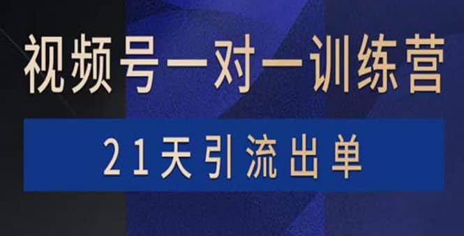 视频号训练营：带货，涨粉，直播，游戏，四大变现新方向，21天引流出单-优优资源网