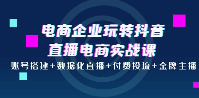 电商企业玩转抖音直播电商实战课：账号搭建 数据化直播 付费投流 金牌主播-优优资源网