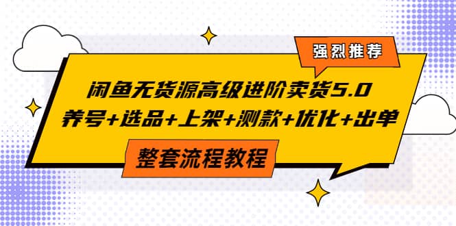 闲鱼无货源高级进阶卖货5.0，养号 选品 上架 测款 优化 出单整套流程教程-优优资源网