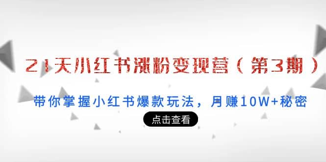 21天小红书涨粉变现营（第3期）：带你掌握小红书爆款玩法，月赚10W 秘密-优优资源网