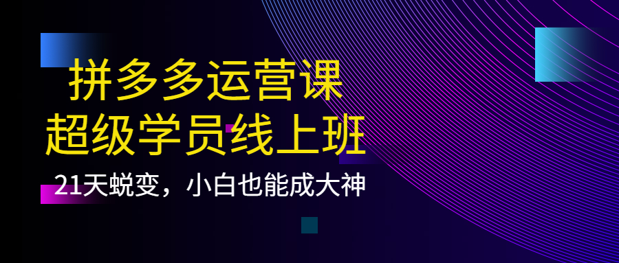 拼多多运营课：超级学员线上班，21天蜕变，小白也能成大神-优优资源网