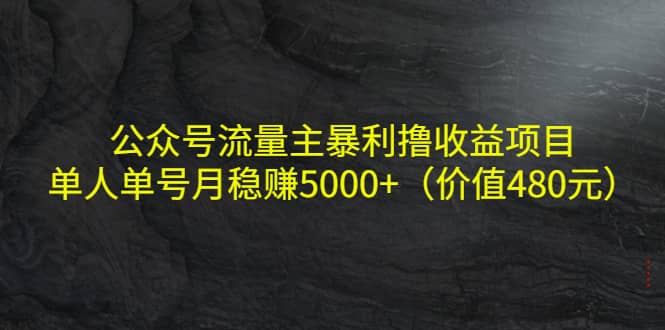 公众号流量主暴利撸收益项目，单人单号月稳赚5000 （价值480元）-优优资源网