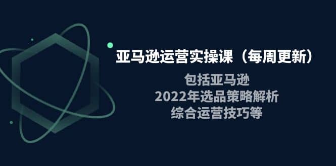 亚马逊运营实操课（每周更新）包括亚马逊2022选品策略解析，综合运营技巧等-优优资源网