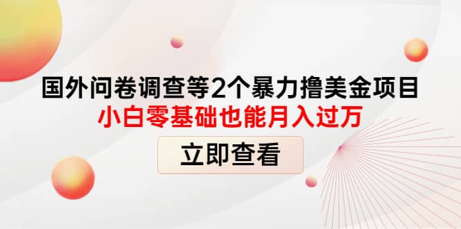 国外问卷调查等2个暴力撸美元项目，小白零基础也能月入过万-优优资源网