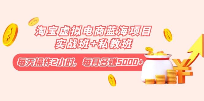 淘宝虚拟电商蓝海项目实战班 私教班-优优资源网