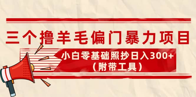外面卖998的三个撸羊毛项目，小白零基础照抄（附带工具）-优优资源网