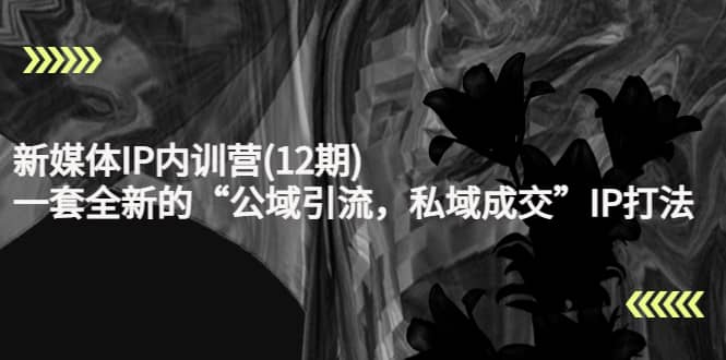 新媒体IP内训营(12期)，一套全新的“公域引流，私域成交”IP打法，直接带走-优优资源网